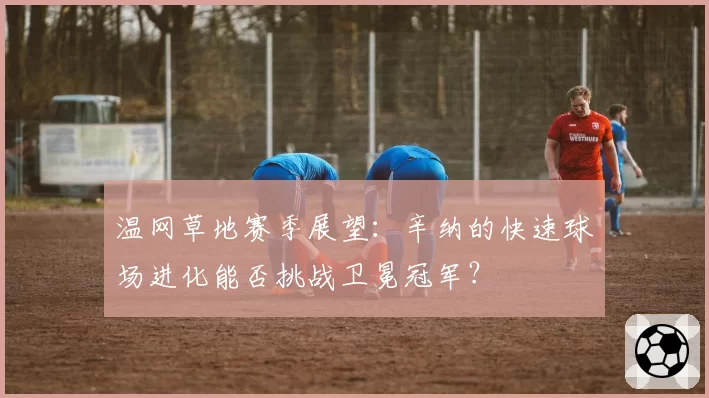 温网草地赛季展望:辛纳的快速球场进化能否挑战卫冕冠军?